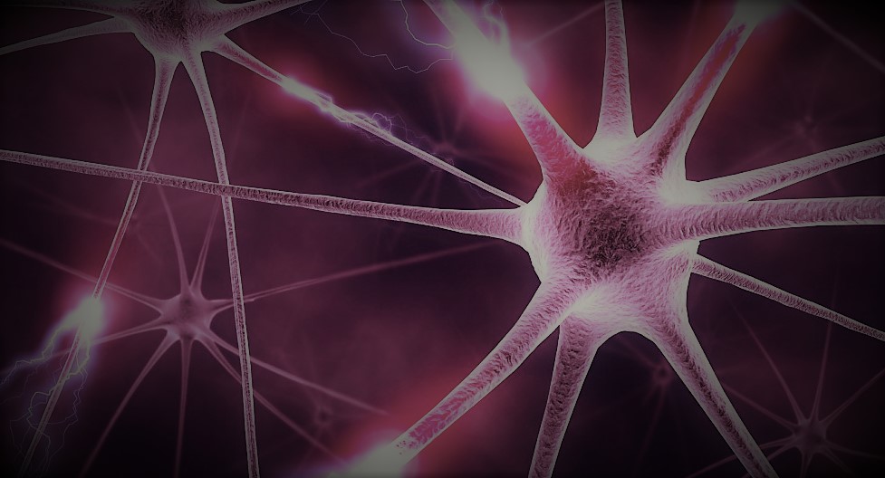 Добавки для коррекции заболеваний нервной системы