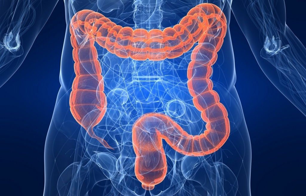 Профилактика и лечение дисбактериоза